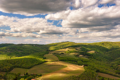 Scenic view of agricultural field against sky