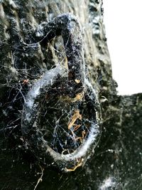 Close-up of frozen water