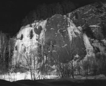 Close-up of sheep during winter