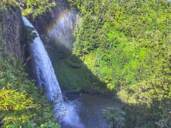 Scenic view of waterfall in forest