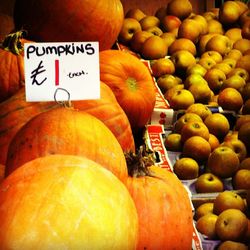 Pumpkins in market