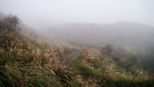 Scenic view of tree mountains against sky