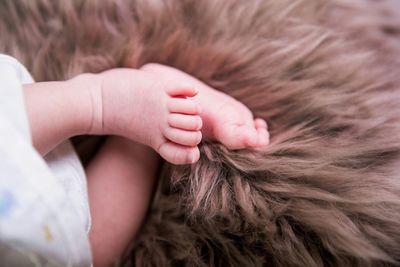 Low section of child relaxing on fur