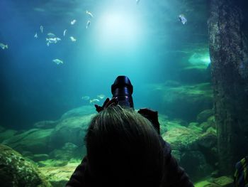 Rear view of fish swimming in sea