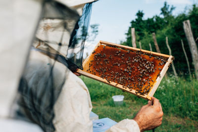 Close-up of man holding food