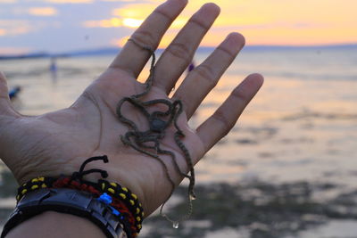 Close-up of hand on sea shore during sunset