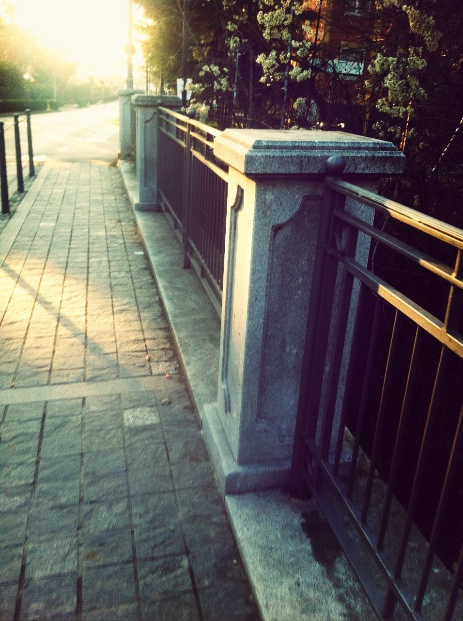 the way forward, built structure, diminishing perspective, architecture, vanishing point, tree, sunlight, footpath, walkway, railing, empty, no people, in a row, day, pathway, outdoors, absence, shadow, building exterior, leading