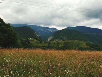 Scenic view of field and mountains against sky