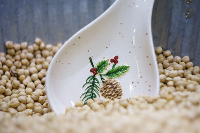 Close-up of spoon in chickpeas