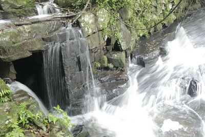 Waterfall in forest