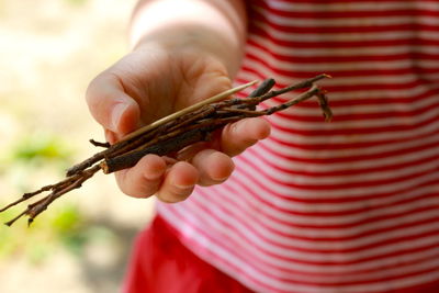 Close-up of cropped hand