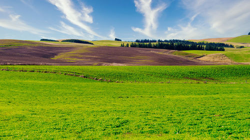 Scenic view of farm against sky