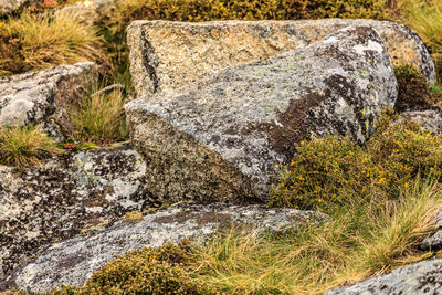 Close-up of water flowing through rocks