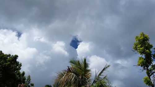 Low angle view of trees against cloudy sky