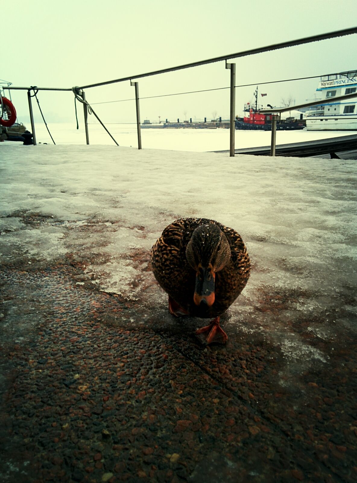 Queen's Quay