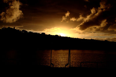 Silhouette of trees at sunset