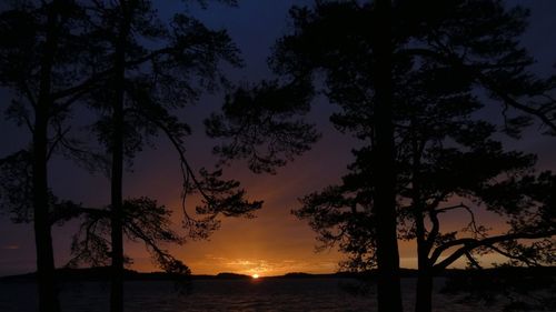 Silhouette trees by sea against sky during sunset