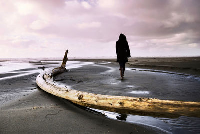 Rear view of man standing on beach