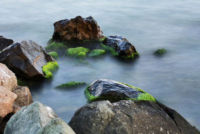 Scenic view of rocks in sea