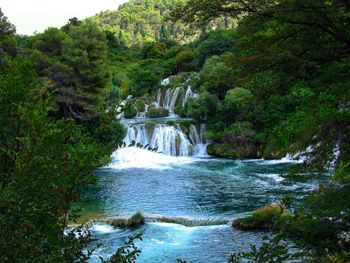 Scenic view of waterfall in forest