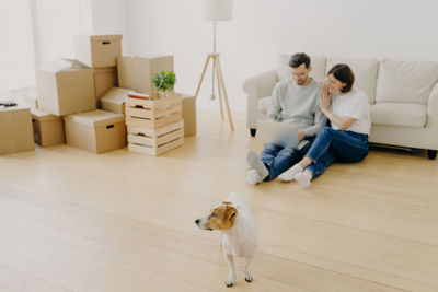 High angle view of couple using laptop sitting by sofa with dog at home