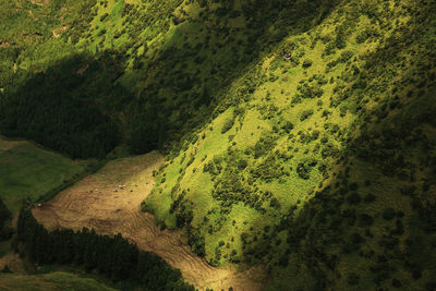 High angle view of green landscape