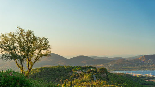 Scenic view of tree mountains against clear sky