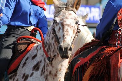 People riding horses