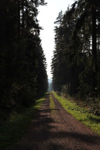 Dirt road amidst trees against sky in forest