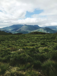 Scenic view of landscape against sky