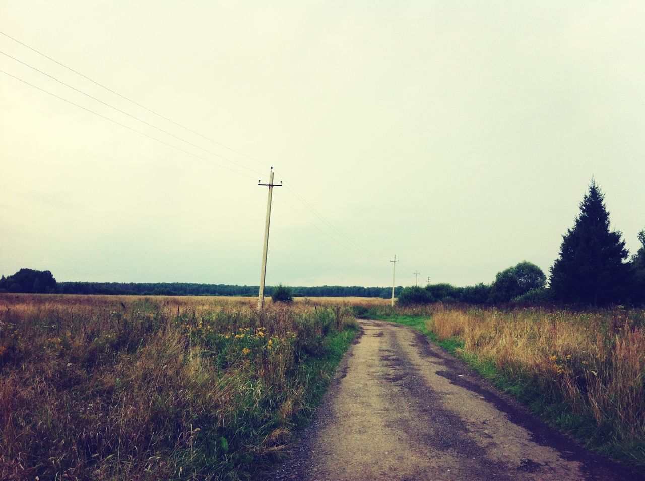 field, clear sky, the way forward, landscape, rural scene, grass, tranquil scene, tranquility, copy space, nature, electricity pylon, sky, road, diminishing perspective, power line, dirt road, agriculture, transportation, country road, growth