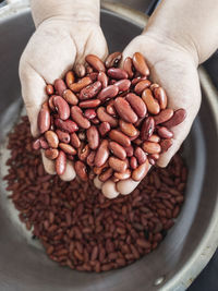 Close-up of hand holding roasted coffee beans