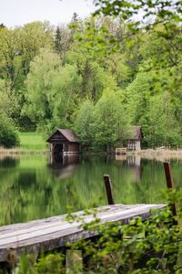 Scenic view of lake by trees in forest