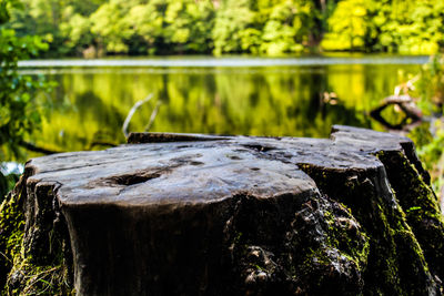 Close-up of wooden log in lake