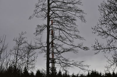 Low angle view of silhouette bare trees against clear sky