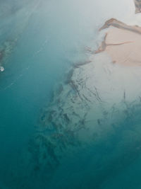 Coastal landscape in patagonia.