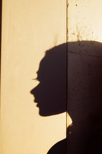 Shadow of person on wall