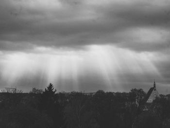 Trees against cloudy sky