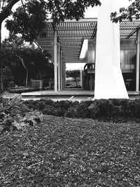 Trees in front of house