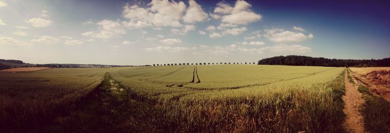 Scenic view of field against cloudy sky