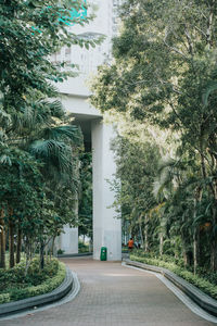 Road by trees in city