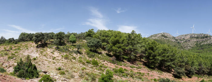 Trees on landscape against sky