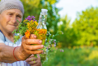 Midsection of man holding potted plant