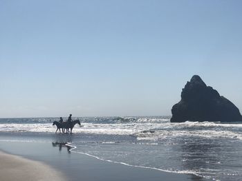 Men on beach against clear sky