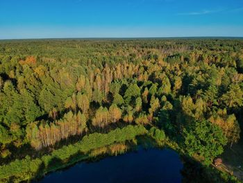 Scenic view of trees on landscape against sky