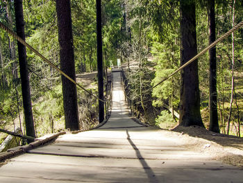 Footpath amidst trees in forest