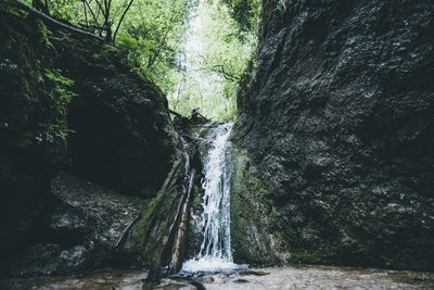 Stream flowing through rocks in forest