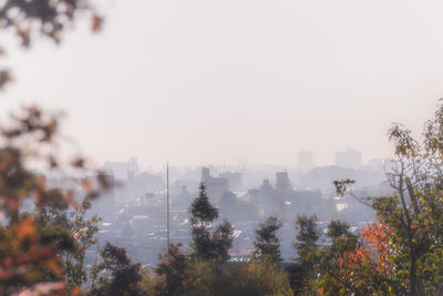 Trees and cityscape against sky