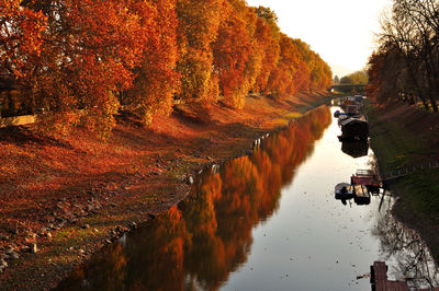 Canal amidst trees against sky during autumn