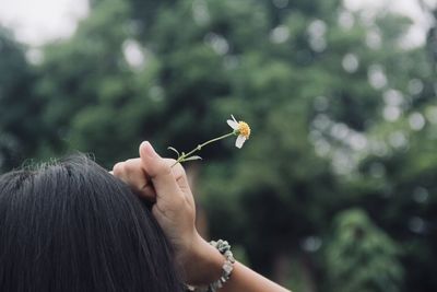 Close-up of woman hand holding flower